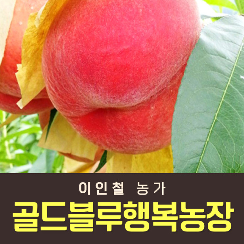 [사전예약특가] 복숭아(딱복/물복) 2kg/4kg