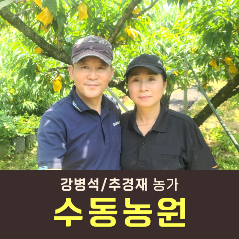[사전예약특가] 복숭아(딱복) 4kg/8kg