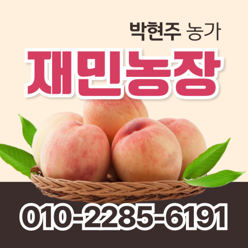 [사전예약특가] 복숭아(딱복/물복) 2kg/4kg
