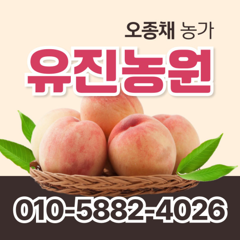 [사전예약특가] 복숭아(물복) 2kg/4kg
