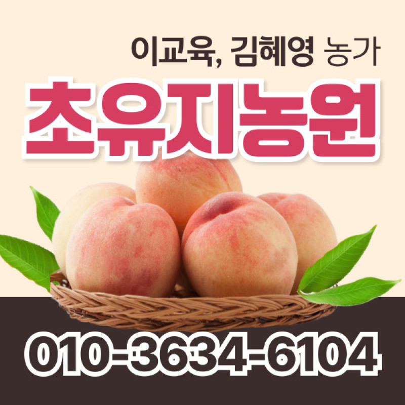 [사전예약특가] 복숭아(딱복) 2kg/4kg
