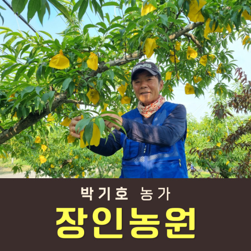 [사전예약특가] 복숭아(물복) 2kg/4kg