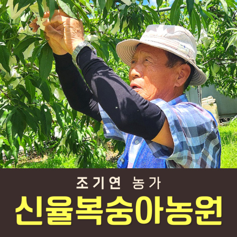 [사전예약특가] 복숭아(딱복/물복) 2kg/4kg